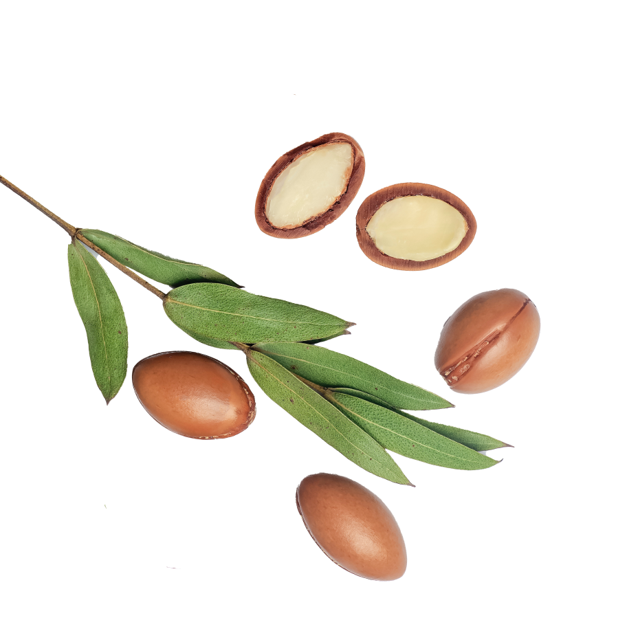 image:装飾