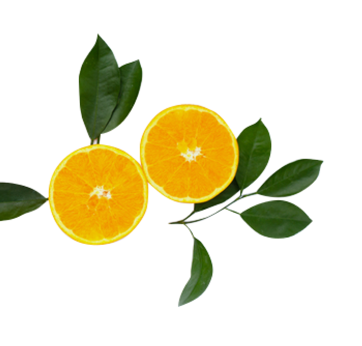 image:装飾