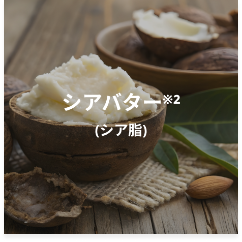 シア脂