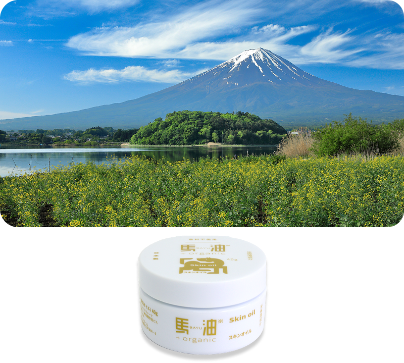 富士山